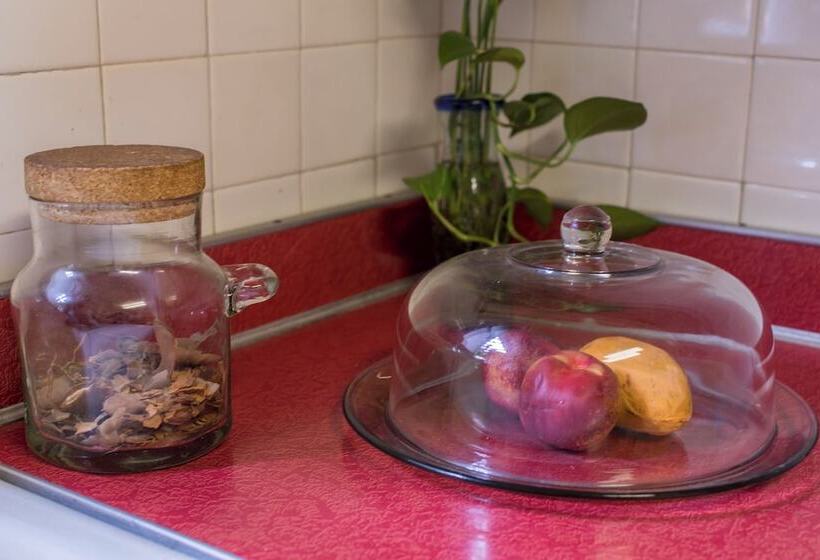 Пансион Meztli: Casa Boutique & Spa