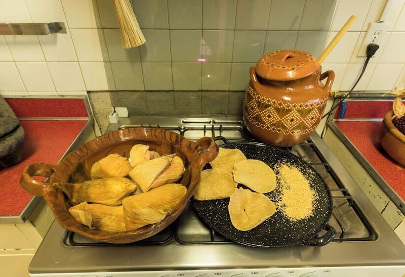 Пансион Meztli: Casa Boutique & Spa