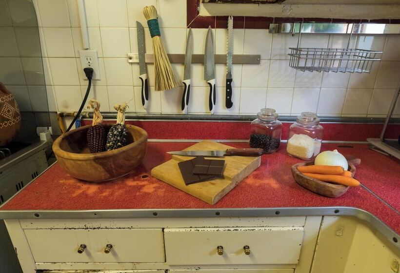 Пансион Meztli: Casa Boutique & Spa