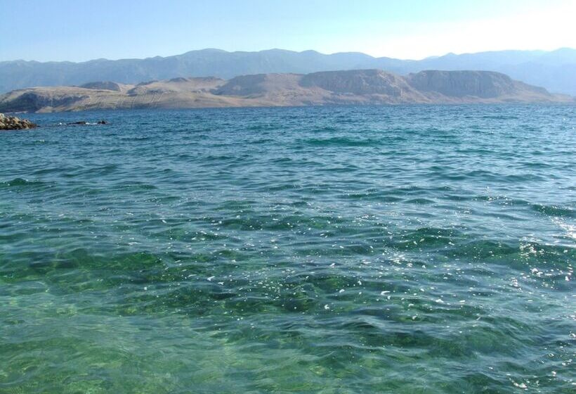 پانسیون Rooms And Apartments Galeb