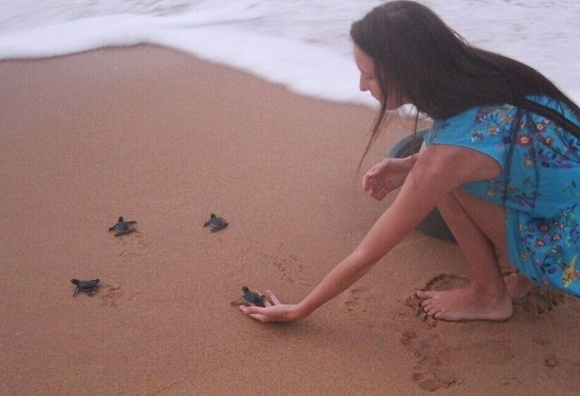 ペンション Sankarest Villa