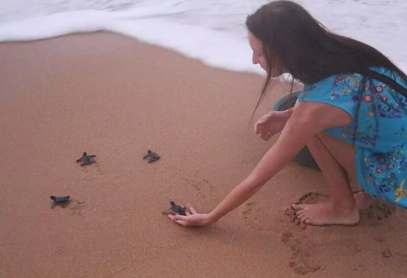 پانسیون Sankarest Villa