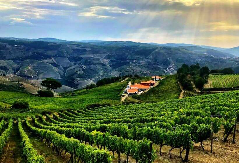 Quinta Dos Espinheiros