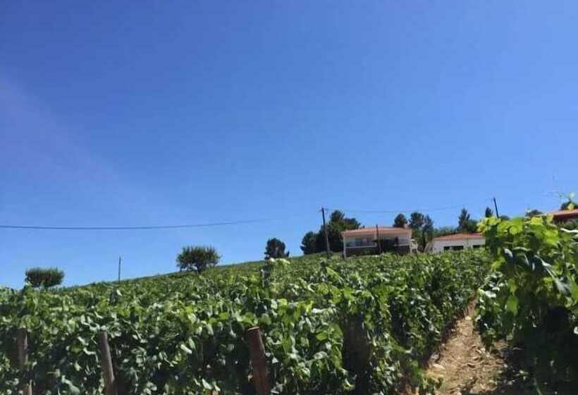 Quinta Dos Espinheiros