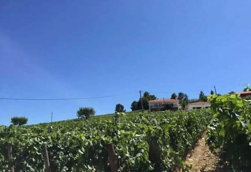 Quinta Dos Espinheiros