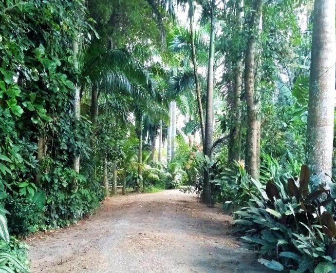 هاستل Quinta Das Palmeiras