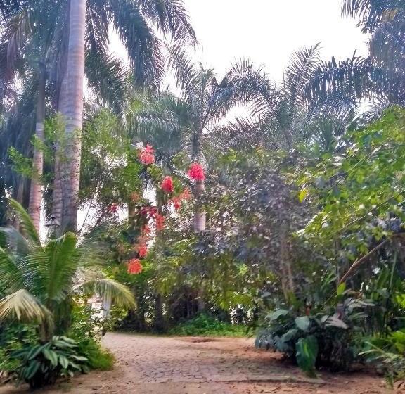 هاستل Quinta Das Palmeiras