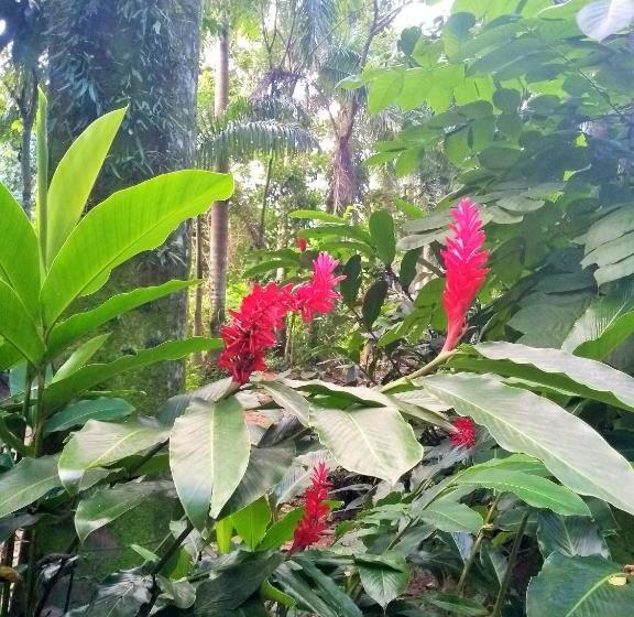 هاستل Quinta Das Palmeiras