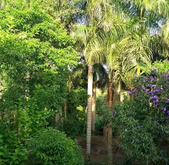 هاستل Quinta Das Palmeiras