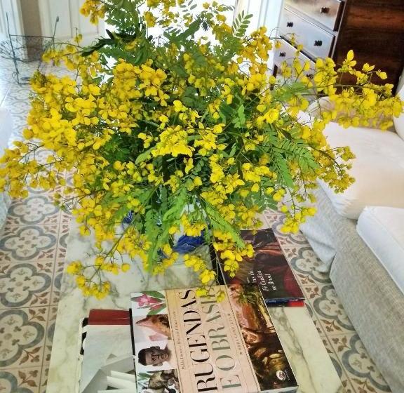 هاستل Quinta Das Palmeiras