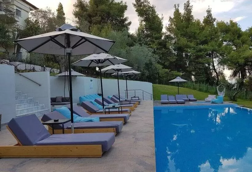Avatel Eco Lodge