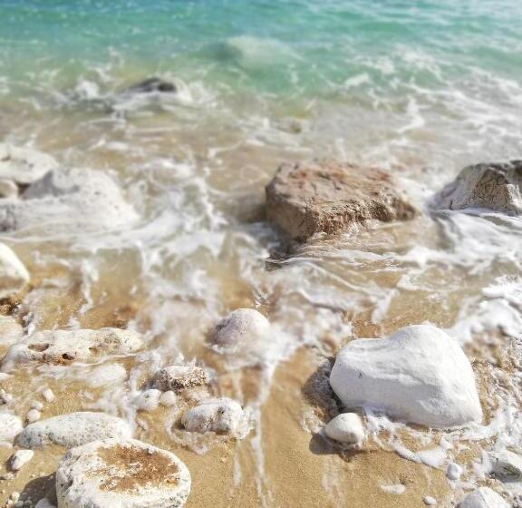 住宿加早餐  Apulia Bed&breakfast