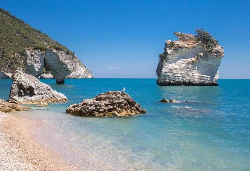 住宿加早餐  Apulia Bed&breakfast