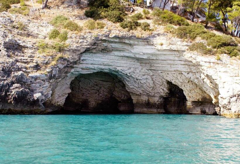 住宿加早餐  Apulia Bed&breakfast