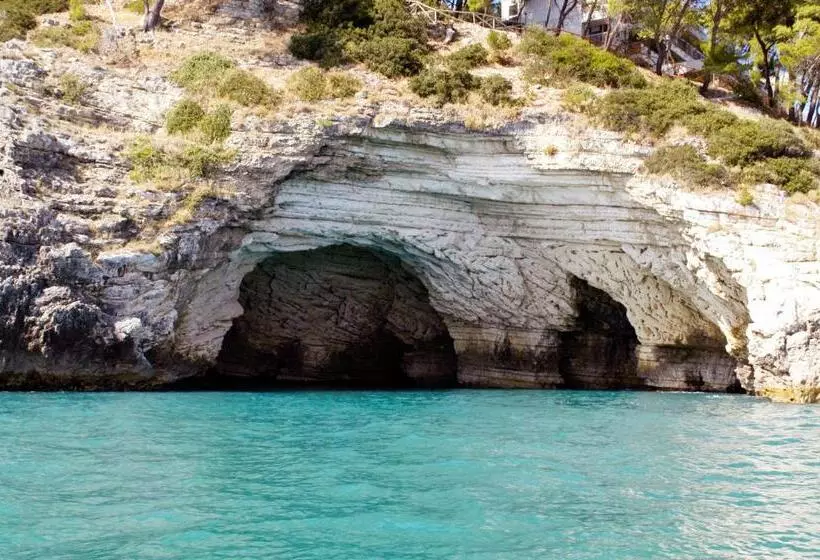 Aamiaismajoitus (B&B) Apulia Bed&breakfast