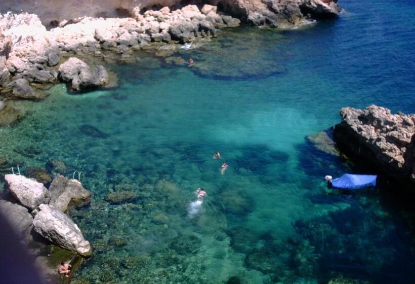 住宿加早餐  Apulia Bed&breakfast