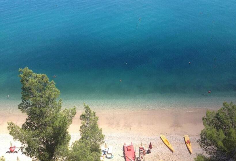 住宿加早餐  Apulia Bed&breakfast