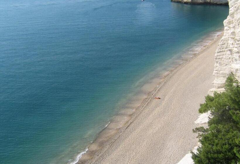 住宿加早餐  Apulia Bed&breakfast