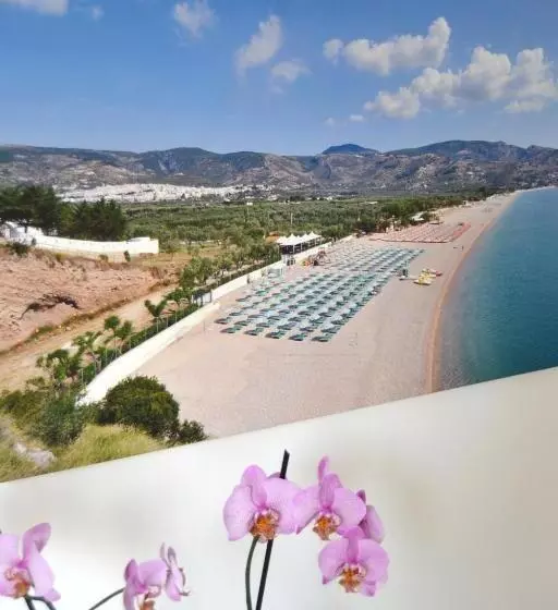 Aamiaismajoitus (B&B) Apulia Bed&breakfast