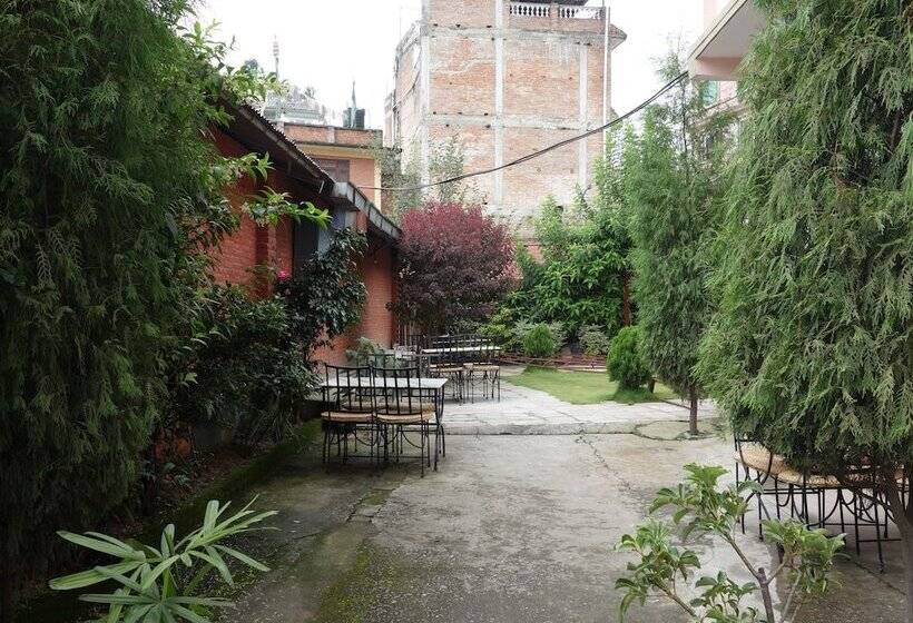 هتل Bodhi Guest House