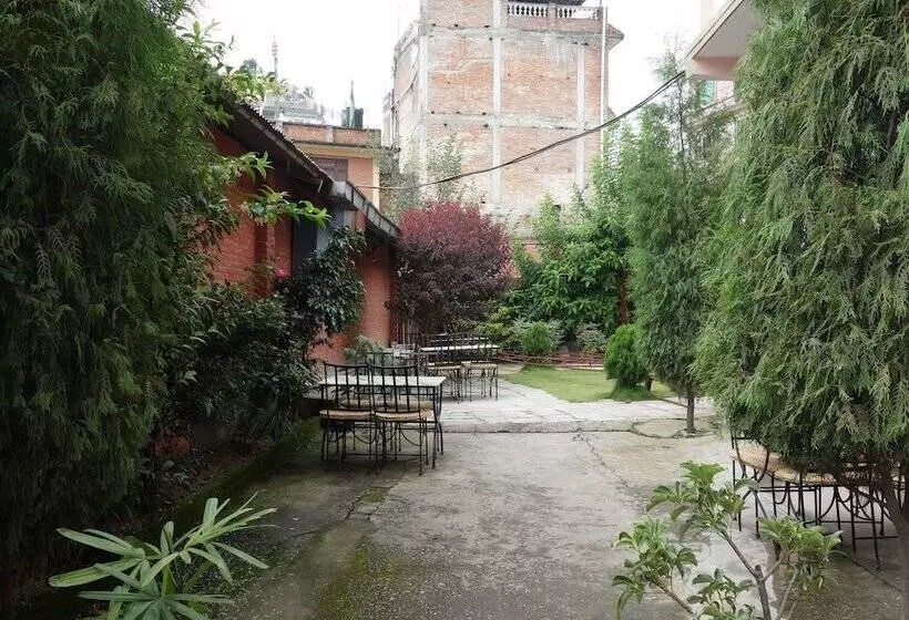 هتل Bodhi Guest House