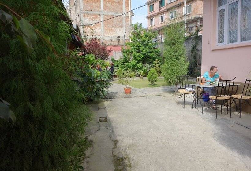 هتل Bodhi Guest House