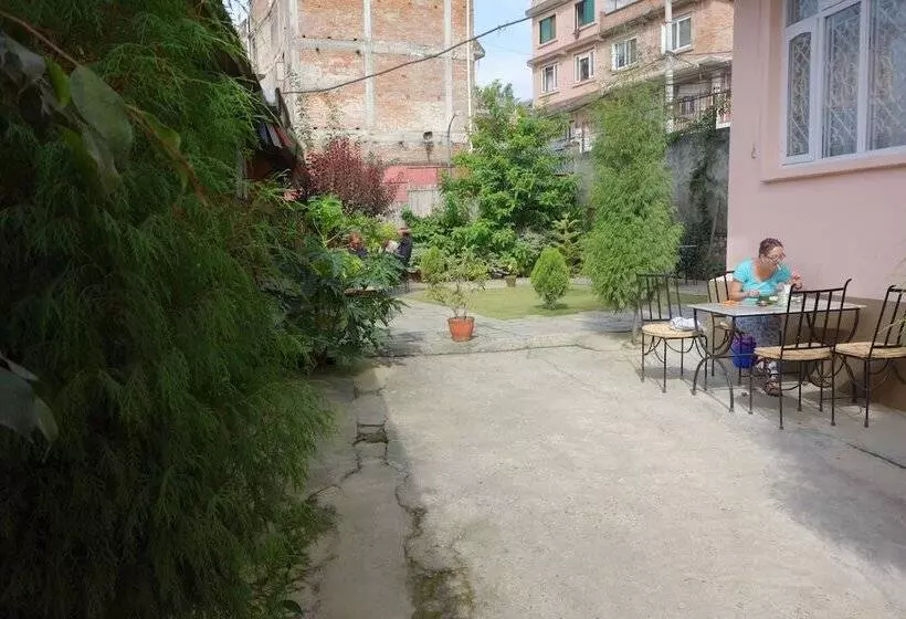 هتل Bodhi Guest House