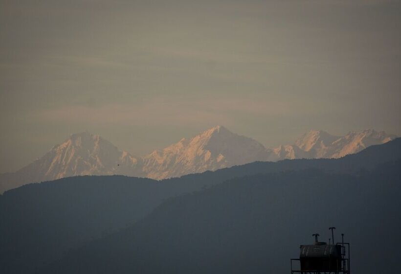 هتل Bodhi Guest House