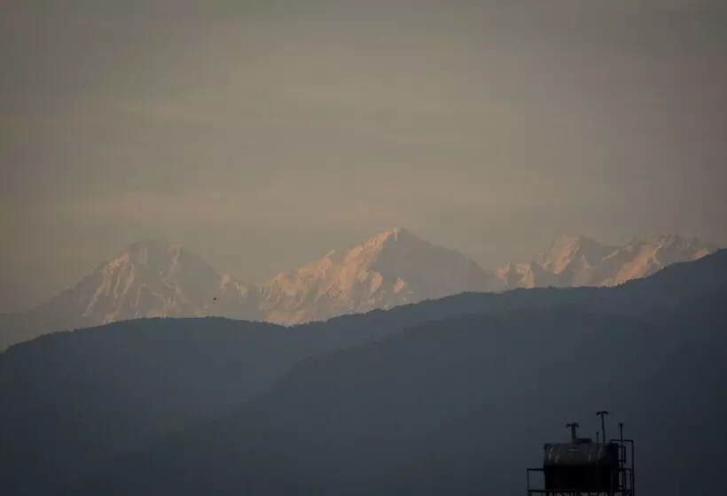 هتل Bodhi Guest House