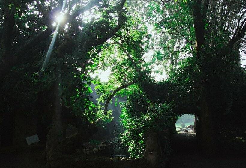 هتل Kuriftu Resort & Spa Lake Tana