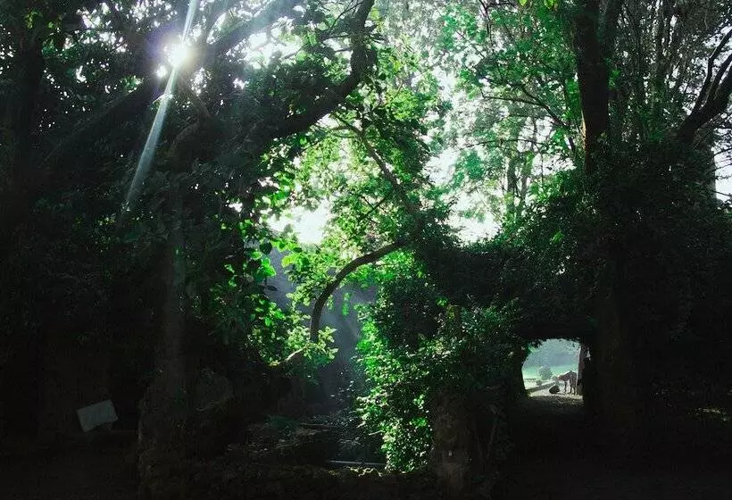 هتل Kuriftu Resort & Spa Lake Tana