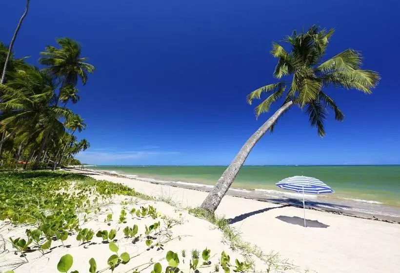 Hotel Pousada Samba Pa Ti