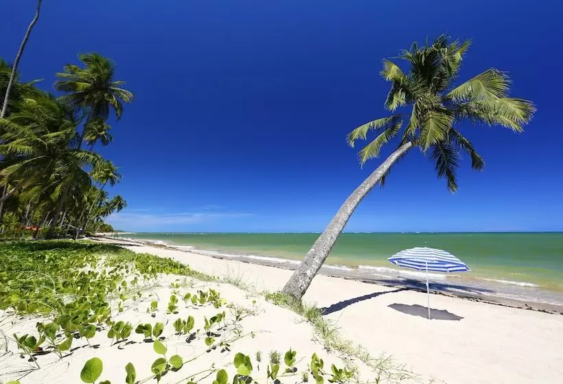 Hotel Pousada Samba Pa Ti