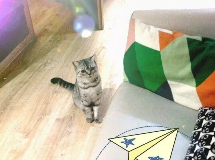 Vse Putem Kuibysheva   Hostel