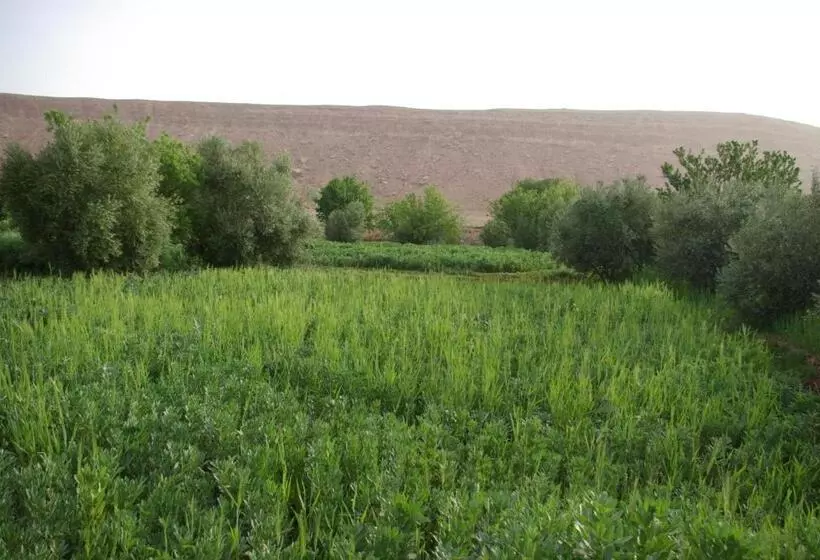 Majatalo Maison D Hôtes Nouflla