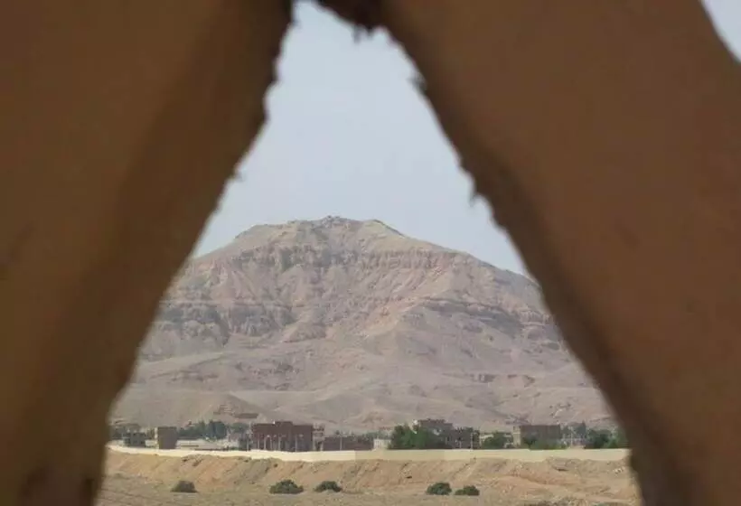 پانسیون Scorpion House Luxor