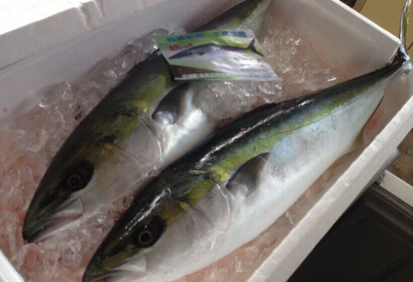 ريوكان Showa Minshuku Ryujinsou