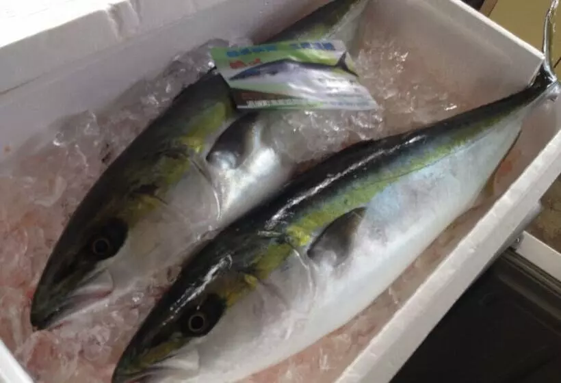 旅館 Showa Minshuku Ryujinsou