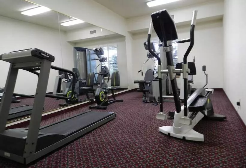 ホテル Ashmore Inn And Suites Lubbock