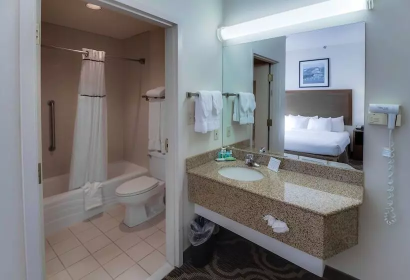 ホテル Ashmore Inn And Suites Lubbock