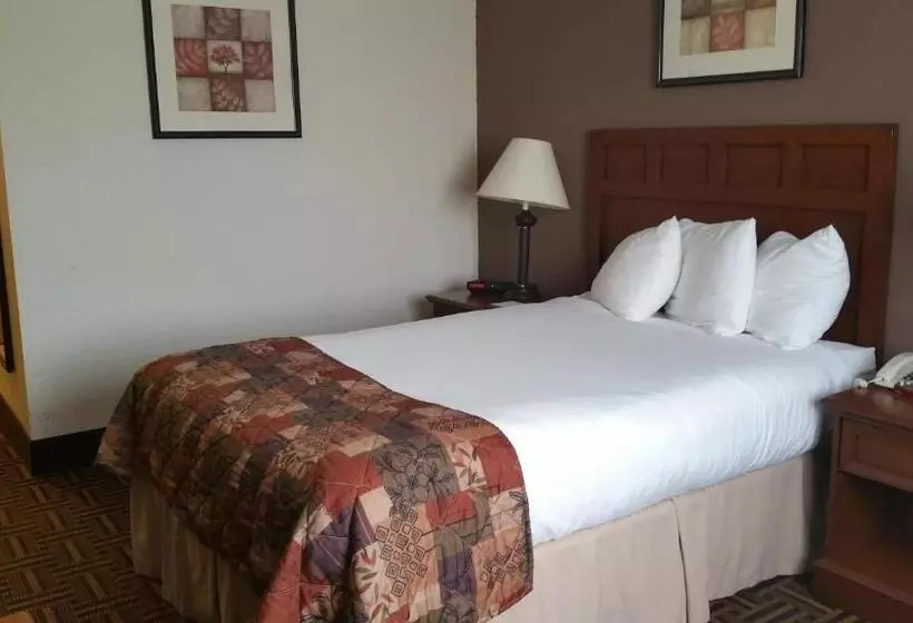 酒店 Baymont By Wyndham Tuscola