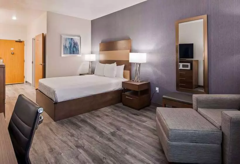 هتل Best Western Plus Twin Falls