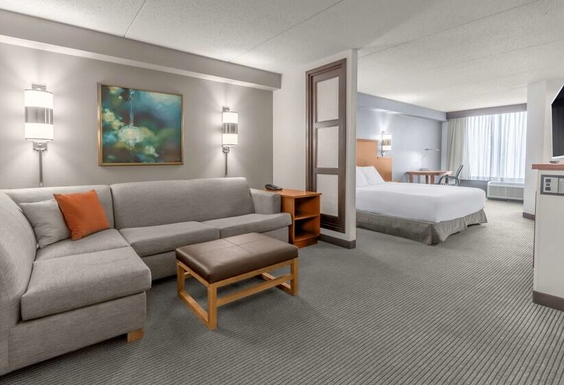 Hotel Hyatt Place Charlotte Airport Billy Graham Parkway