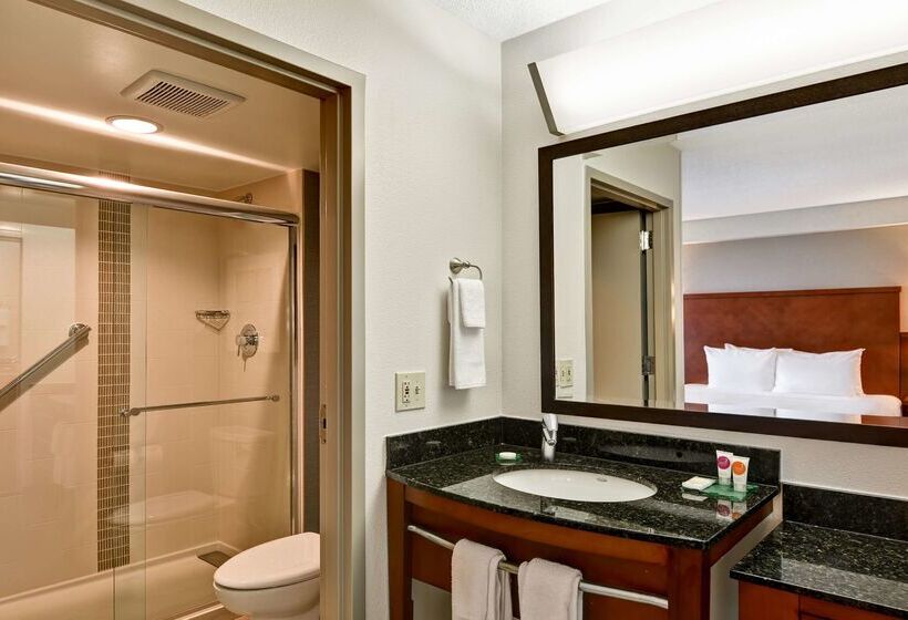 فندق Hyatt Place Memphis Wolfchase