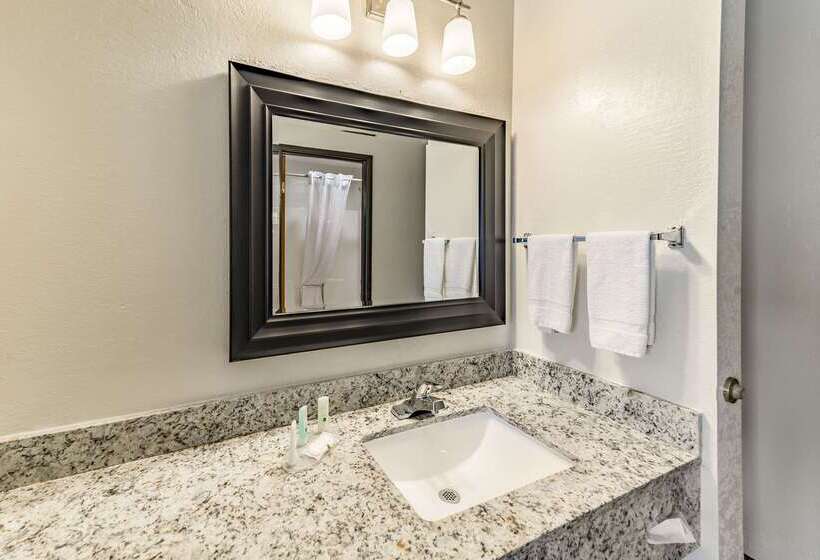 Otel Quality Inn Allen  Plano East