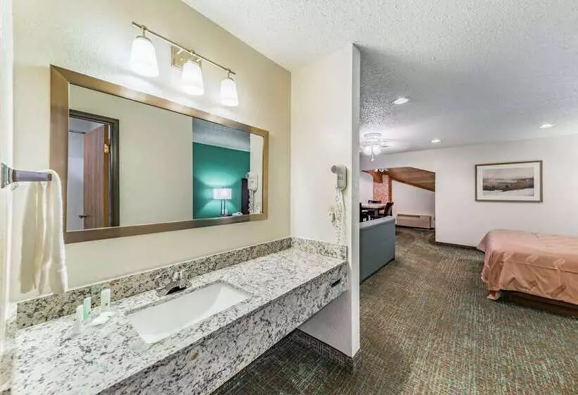 酒店 Quality Inn Allen Plano East