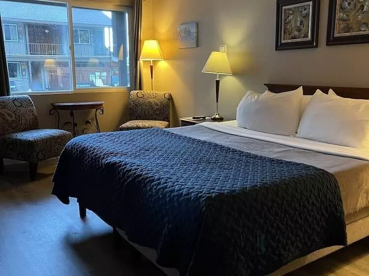 酒店 The Alder Inn