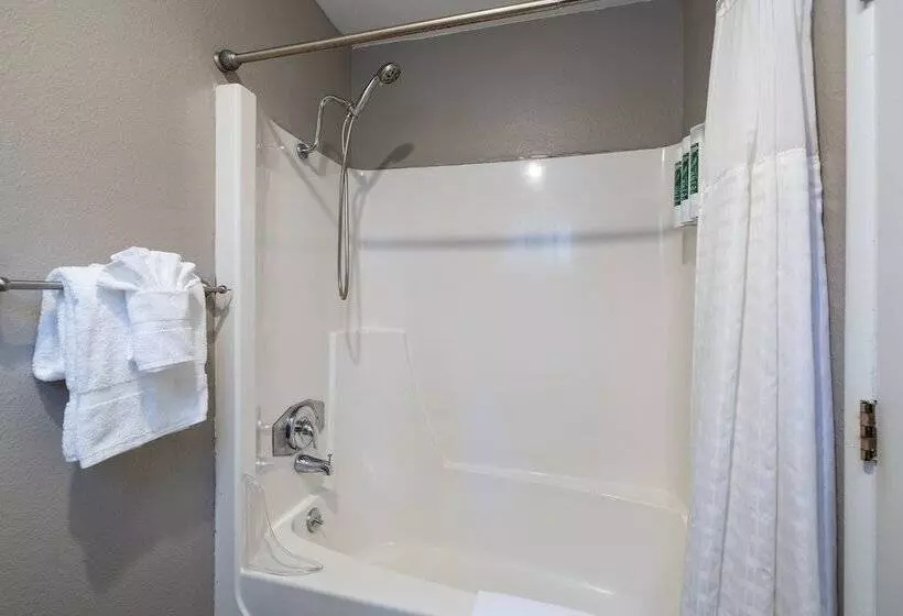 酒店 The Alder Inn