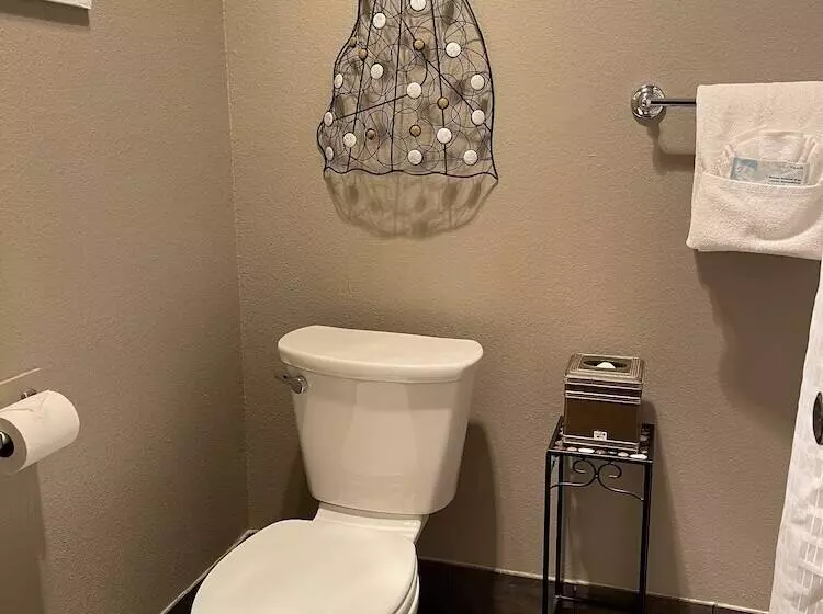 酒店 The Alder Inn