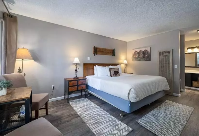 酒店 The Alder Inn